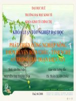 PHÁT TRIỂN CÔNG NGHIỆP NÔNG THÔN HUYỆN DIỄN CHÂU   TỈNH NGHỆ AN TRONG GIAI đoạn HIỆN NAY 