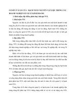 CƠ SỞ LÝ LUẬN CỦA   HẠCH TOÁN NGUYÊN VẬT LIỆU TRONG CÁC DOANH NGHIỆP SẢN XUẤT KINH DOANH