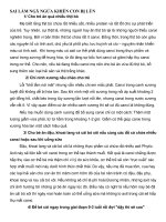 sai lầm ngã ngửa khiến con bị lùn