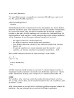 Writing while Statements