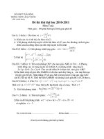 de thi thu dai hoc 2010-2011.doc