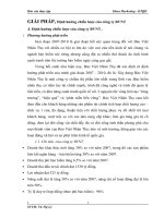 GIẢI PHÁP, Định hướng chiến lược của công ty BVNT