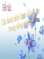 Các hình thức kinh tế hợp tác trong nông nghiệp 