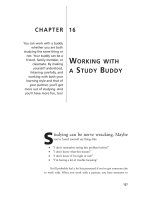 Working with a Study Buddy