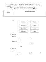 Bài soạn de thi toan TV lớp 1 GKI  2010 - 2011