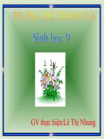 Tài liệu tiết 40: Các phương pháp chọn lọc