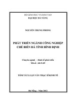 Phát triển ngành công nghiệp chế biến đá tỉnh bình định 
