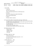 Tài liệu Bai 41. Cau tao va chuc nang cua da