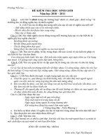 Bài soạn Đềg kiểm tra học sinh giỏi lớp 5- Năm học 2010/2011