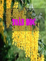 Bài giảng Mo rong khai niem phan so