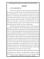 Gián án SKKN Hoa moi.xem se tai ngay