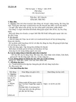 Bài soạn TUAN 19 + 20 - buoi 1(Chuan KNS)