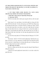 CÁC HOẠT ĐỘNG KINH DOANH CỦA NGÂN HÀNG THƯƠNG MẠI TRONG NỀN KINH TẾ THỊ TRƯỜNG VÀ CƠ CHẾ TÀI CHÍNH CỦA NGÂN HÀNG THƯƠNG MẠI