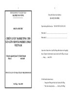 Chiến lược marketing cho sân gôn montgomerie links vietnam 