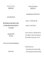 Phân tích hiệu quả hoạt động tại công ty cổ phần thương mại du lịch đầu tư cù lao chàm 