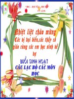 Bài soạn Câu lạc bộ tổng hợp các môn (có ô chữ)