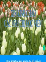 Bài giảng Tin học ứng dụng