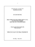 Phát triển doanh nghiệp nhỏ và vừa ngành công nghiệp trên địa bàn tỉnh bình định 