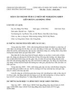 Tài liệu bao cao thanh tich cá nhân