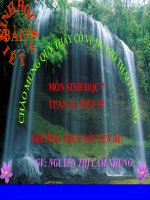 Bài giảng BÀI 37 SỰ DA DẠNG VÀ ĐẶC DIỂM CHUNG CỦA LƯỠNG CƯ