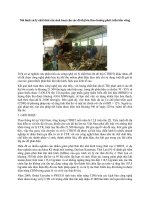 8362 mo hinh XL chat thai ran SH cac do thi Xử lý chất thải rắn sinh hoạt