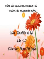 Gián án TNXH Gia Đình