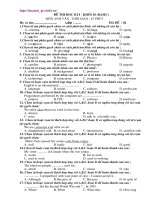 Anh 10 Đề thi HK I số 9