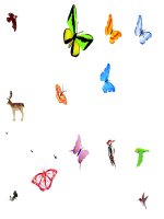 Bài giảng hình động động vật