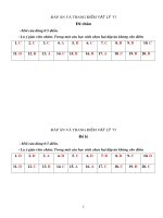 Đáp án Vật lý 11 HK1 2010-2011