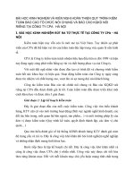 BÀI HỌC KINH NGHIỆM VÀ KIẾN NGHỊ HOÀN THIỆN QUY TRÌNH KIỂM TOÁN BÁO CÁO TỔ CHỨC NÓI CHUNG VÀ BÁO CÁO KQKD NÓI RIÊNG TẠI CÔNG TY CPA   HÀ NỘI