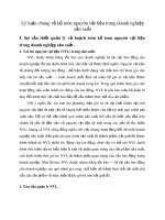 Lý luận chung về kế toán nguyên vật liệu trong doanh nghiệp sản xuất