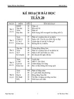 Bài soạn GIÁO ÁN TUẦN 20 CKT KN 2010- 2011