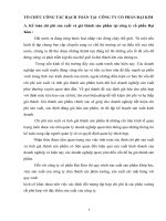 TỔ CHỨC CÔNG TÁC HẠCH TOÁN TẠI  CÔNG TY CỔ PHẦN ĐẠI KIM