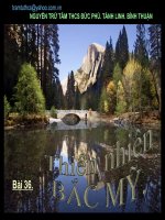 Bài giảng Bài 36 : thiên nhiên châu mỹ