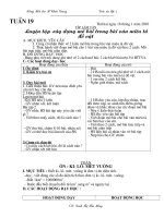 Bài soạn buổi 2 - tuần 19