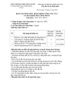 Bài soạn BÁO CÁO TỔNG KẾT UBKT ĐỢT 1(2010)