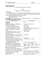 Gián án Giao an lop 3 tuan 19