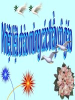 thuc vat can gi de song