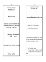 Nghiên cứu các yếu tố ảnh hưởng đến hành vi tiêu dùng quần áo thời trang công sở khu vực đà nẵng 