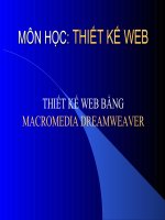 Gián án Thiết kế Website