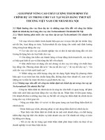 GIẢI PHÁP NÂNG CAO CHẤT LƯỢNG THẨM ĐỊNH TÀI CHÍNH DỰ ÁN TRONG CHO VAY TẠI NGÂN HÀNG TMCP KỸ THƯƠNG VIỆT NAM CHI NHÁNH HÀ NỘI