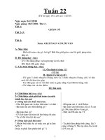 Bài giảng Tuan 23 giao an lop 1