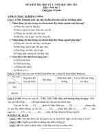 Tài liệu DETHI HKI 10-11