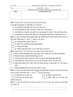Tài liệu ĐỀ THI HKI, NĂM HỌC 2010-2011