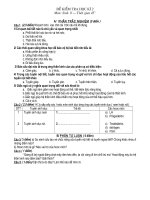 Gián án KT HK 2 Sinh 8