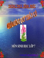 Đặc điểm chung của ngành thân mềm