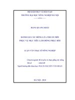 Đánh giá các dòng lúa thuần mới phục vụ mục tiêu làm dòng phục hồi 