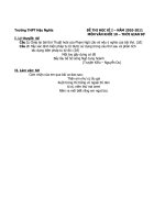 Gián án ĐỀ THI HỌC KÌ I MÔN VĂN 2010-2011