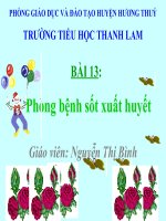Bài giảng KHOA HOC 5 PHONG BENH SOT XUAT HUYET
