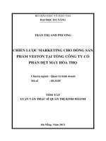 Chiến lược marketing cho dòng sản phẩm veston tại tổng công ty cổ phần dệt may hòa thọ 